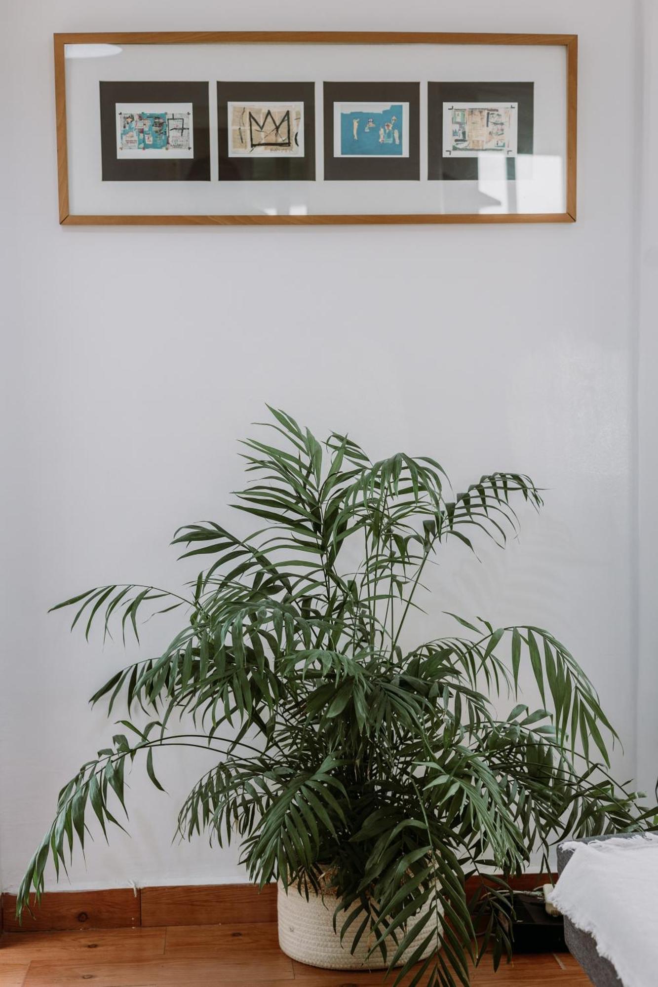 Spacious Apartment Seville